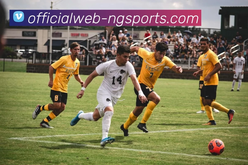 ng体育APP 高清赛事图